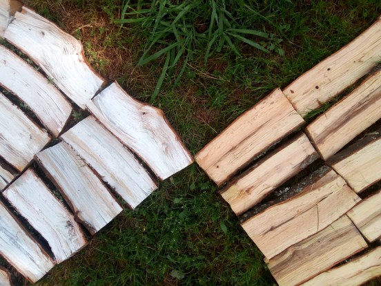 IMG_20180622_101512 copia